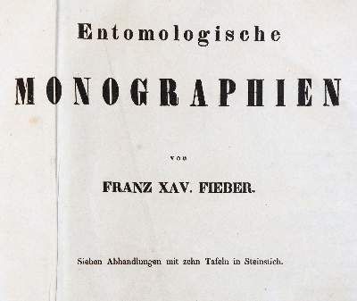 Große Abbildung Nr.1: 141-1731 Fieber,F.X.: (Zoologie, Insekten)