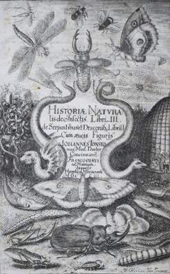 Große Abbildung Nr.1: 141-1732 Jonston,J.: (Zoologie, Insekten)