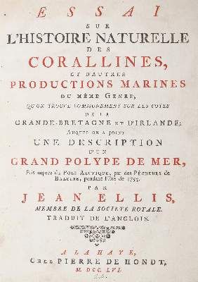 Große Abbildung Nr.1: 141-1735 Ellis,J.: (Zoologie, Korallen)
