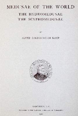 Große Abbildung Nr.1: 141-1740 Mayer,A.G.: (Zoologie)