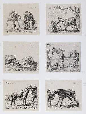 Große Abbildung Nr.2: 141-1745 Laer, Pieter Jacobsz van: (Zoologie, Pferde)