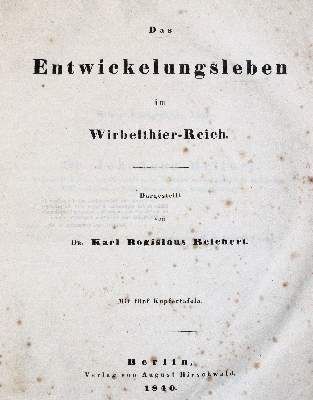 Große Abbildung Nr.1: 141-1751 Reichert,K.B.: (Zoologie)