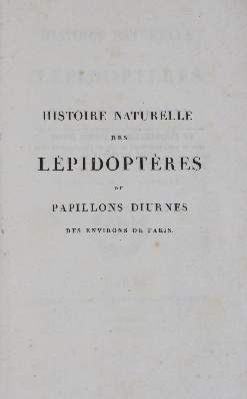 Große Abbildung Nr.3: 141-1753 Godart,J. u. P.Duponchel.: (Zoologie, Schmetterlinge)