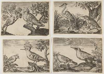 Große Abbildung Nr.4: 141-1755 Briot, Marie.: (Zoologie, Vögel)