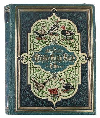 Große Abbildung Nr.10: 141-1756 Maar,A.: (Zoologie, Vögel, Enten)