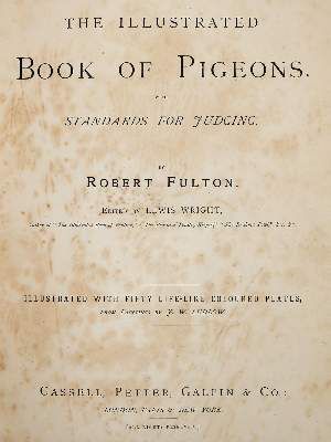 Große Abbildung Nr.1: 141-1759 Fulton,R.: (Zoologie, Vögel, Tauben)