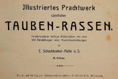 Große Abbildung Nr.1: 141-1761 Schachtzabel,E.: (Zoologie, Vögel, Tauben)