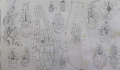 Große Abbildung Nr.1: 141-1784 Atti della Riunione: (Verschiedene Gebiete - Varia)