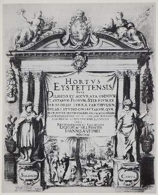 Große Abbildung Nr.5: 141-1794 Besler,B.: (Verschiedene Gebiete - Varia)