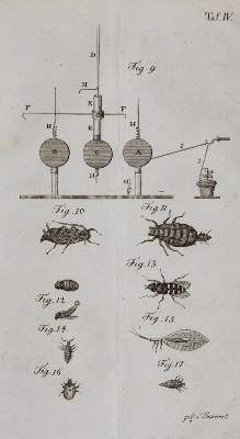 Große Abbildung Nr.2: 141-1810 Darwin,E.: (Verschiedene Gebiete - Varia)
