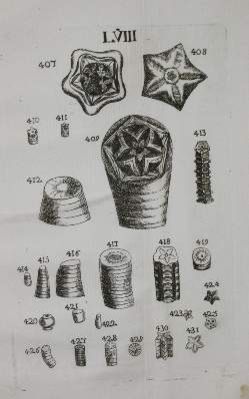Große Abbildung Nr.1: 141-1824 Bourget,L.: (Verschiedene Gebiete - Varia, Geologie - Mineralogie u. Paläontologie)