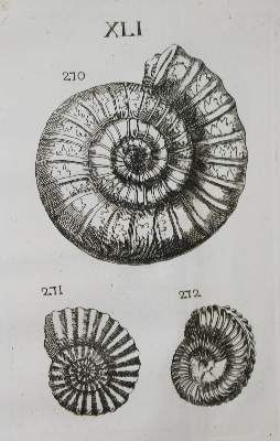Große Abbildung Nr.2: 141-1824 Bourget,L.: (Verschiedene Gebiete - Varia, Geologie - Mineralogie u. Paläontologie)