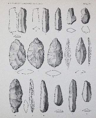 Große Abbildung Nr.3: 141-1947 Schmidt,R.R.: (Verschiedene Gebiete - Varia)