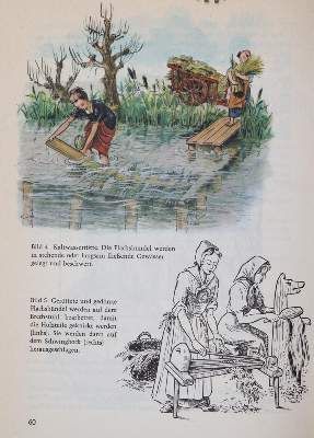 Große Abbildung Nr.2: 141-1955 Sammlung: (Verschiedene Gebiete - Varia, Textil)