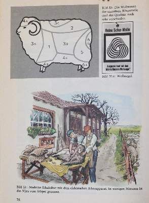 Große Abbildung Nr.3: 141-1955 Sammlung: (Verschiedene Gebiete - Varia, Textil)