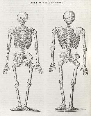 Große Abbildung Nr.3: 141-197 Lacuna,A.: (Alte Drucke, Handschriften und Theologie)
