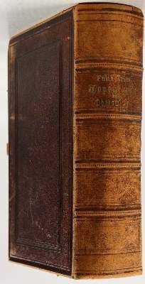 Große Abbildung Nr.2: 141-2169 Triest,F.: (Deutschland, Schlesien)