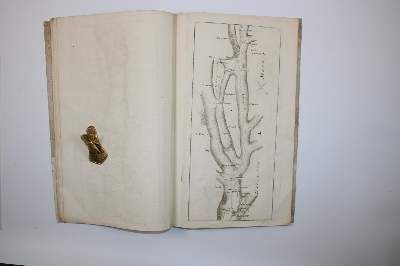 Große Abbildung Nr.8: 141-2292 Bel Pierre.: (Schweiz, Bern)