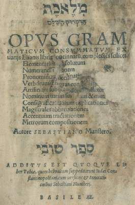 Große Abbildung Nr.1: 141-232 Münster,S.: (Alte Drucke, Handschriften und Theologie)