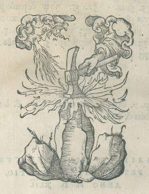 Große Abbildung Nr.2: 141-232 Münster,S.: (Alte Drucke, Handschriften und Theologie)