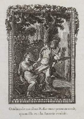 Große Abbildung Nr.11: 141-246 Ovidius,N.P.: (Alte Drucke, Handschriften und Theologie)
