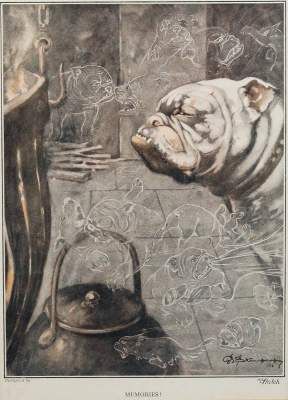 Große Abbildung Nr.1: 141-2502 Konvolut: (Varia, Mops - Bulldogge)