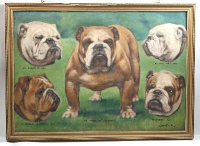 Große Abbildung Nr.13: 141-2502 Konvolut: (Varia, Mops - Bulldogge)