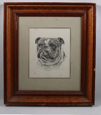 Große Abbildung Nr.2: 141-2502 Konvolut: (Varia, Mops - Bulldogge)
