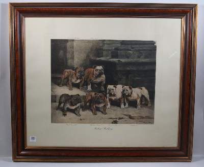 Große Abbildung Nr.5: 141-2502 Konvolut: (Varia, Mops - Bulldogge)