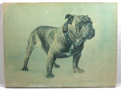 Große Abbildung Nr.7: 141-2502 Konvolut: (Varia, Mops - Bulldogge)