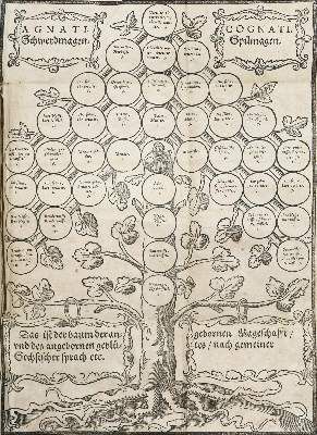 Große Abbildung Nr.1: 141-277 König,K.: (Sachsen)