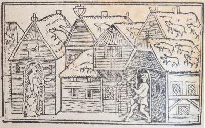 Große Abbildung Nr.2: 141-294 Olaus Magnus.: (Skandinavien)