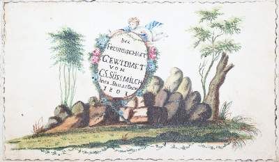 Große Abbildung Nr.2: 141-301 Der Freundschaft gewidmet: (Stammbücher, Jever)