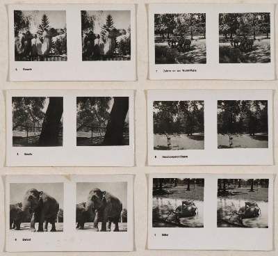 Große Abbildung Nr.1: 141-3018 Sammlung: (Photographie)