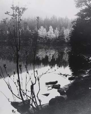 Große Abbildung Nr.5: 141-3024 Wimmer, Hed: (Photographie)