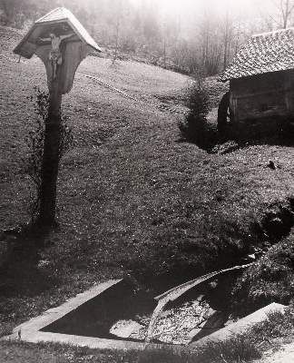 Große Abbildung Nr.6: 141-3024 Wimmer, Hed: (Photographie)
