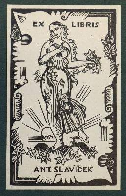 Große Abbildung Nr.10: 141-3061 Sammlung: (Varia, Exlibris)