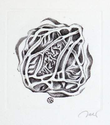 Große Abbildung Nr.8: 141-3061 Sammlung: (Varia, Exlibris)