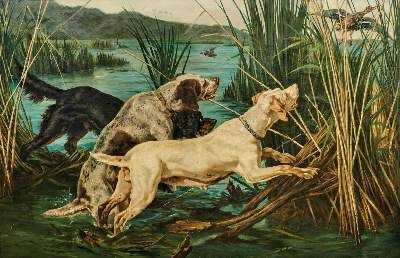 Große Abbildung Nr.1: 141-3070 Da Vida.: (Varia, Jagd)