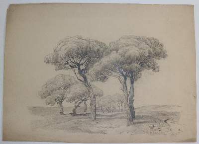 Große Abbildung Nr.8: 141-3089 Konvolut: (Varia)