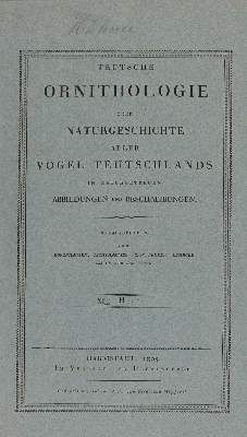 Große Abbildung Nr.2: 141-3148 Vögel.: (Varia, Zoologie)