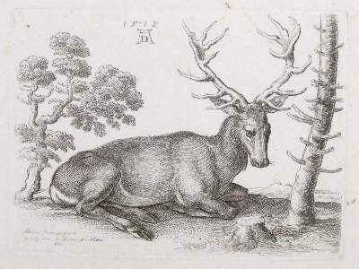 Große Abbildung Nr.1: 141-3623 Hollar, Wenzel: (Künstlergraphik, Dürer)