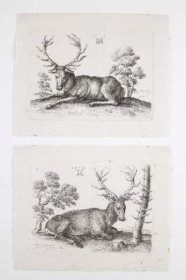 Große Abbildung Nr.2: 141-3623 Hollar, Wenzel: (Künstlergraphik, Dürer)