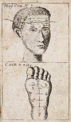 Große Abbildung Nr.3: 141-382 Job,J.G.: (Grenzwissenschaften und Okkultismus)