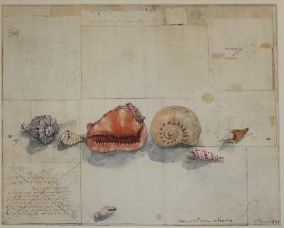 Große Abbildung Nr.4: 141-3848 Janssen, Horst: (Künstlergraphik)