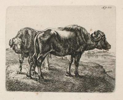 Große Abbildung Nr.3: 141-3905 Klein, Johann Adam: (Künstlergraphik)