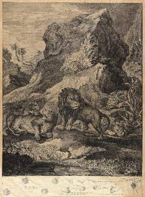 Große Abbildung Nr.1: 141-4336 Ridinger, Johann Elias: (Künstlergraphik)
