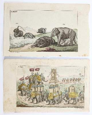 Große Abbildung Nr.12: 141-4362 Rückgänge: (Künstlergraphik)