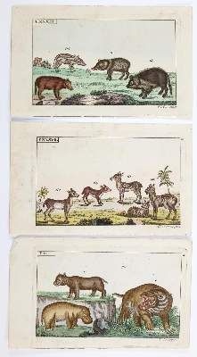 Große Abbildung Nr.13: 141-4362 Rückgänge: (Künstlergraphik)