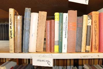 Große Abbildung Nr.21: 141-437 Konvolut: (Varia)